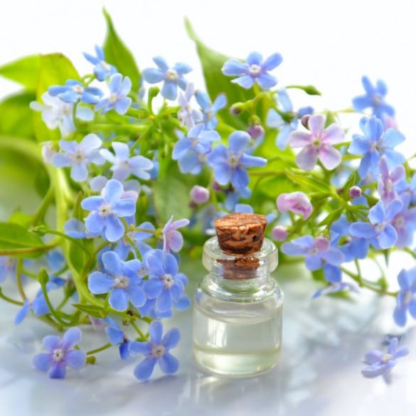Essential Oils | Cosmetology